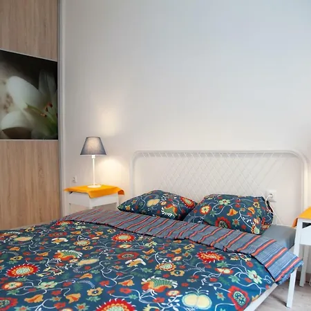 Apartment Downtown Pedestrian Zone *