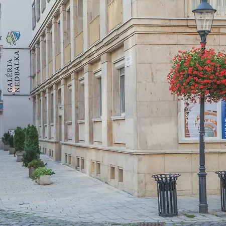 Apartment Downtown Pedestrian Zone