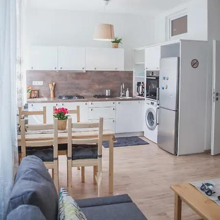Apartment Downtown Pedestrian Zone *